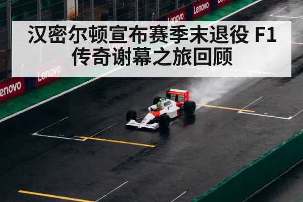 Lewis Hamilton F1 champion