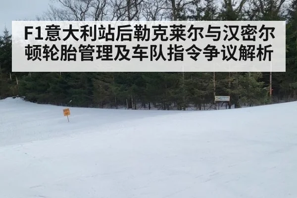 F1意大利站后勒克莱尔与汉密尔顿轮胎管理及车队指令争议解析 | nine game