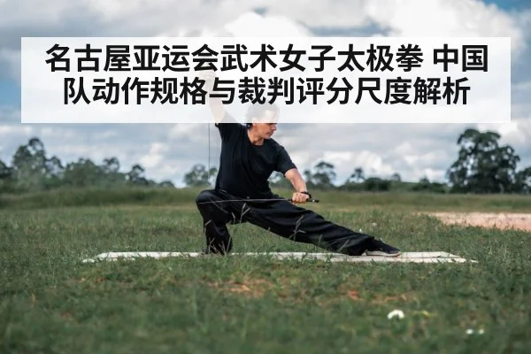 taiji sword martial arts performance